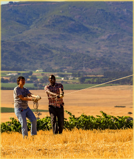 Eine Ballonfahrt ber die Wineland von Kapstadt in Sdafrika